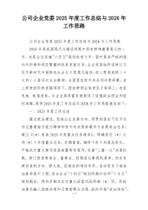 公司企业党委2026年度工作总结与2026年工作思路