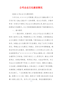 公司企业文化建设情况