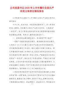 公司党委书记2026年上半年履行全面从严治党主体责任情况报告