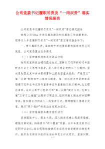 公司党委书记履职尽责及“一岗双责”落实情况报告