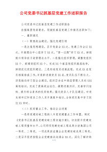 公司党委书记抓基层党建工作述职报告