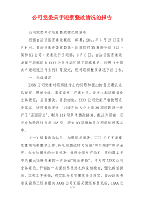 公司党委关于巡察整改情况的报告