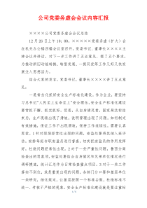 公司党委务虚会会议内容汇报