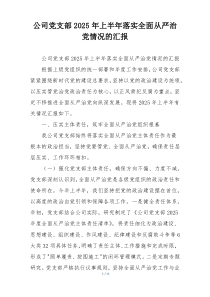 公司党支部2026年上半年落实全面从严治党情况的汇报