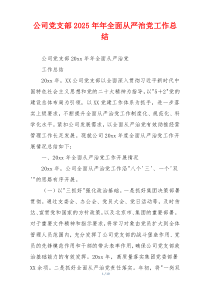 公司党支部2026年年全面从严治党工作总结