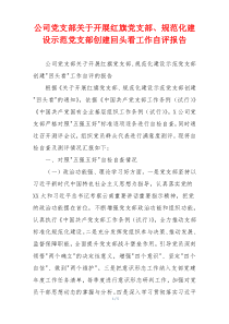公司党支部关于开展红旗党支部、规范化建设示范党支部创建回头看工作自评报告