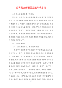 公司党支部基层党建专项总结