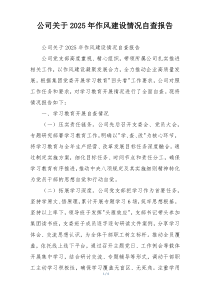 公司关于2026年作风建设情况自查报告