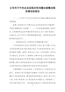 公司关于中央企业巡视共性问题自查整改落实情况的报告