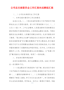 公司总支部委员会工作汇报向巡察组汇报