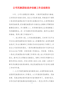 公司民族团结进步创建工作总结报告