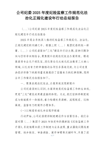 公司纪委2026年度纪检监察工作规范化法治化正规化建设年行动总结报告