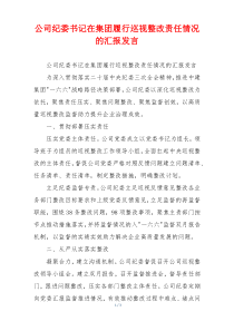 公司纪委书记在集团履行巡视整改责任情况的汇报发言