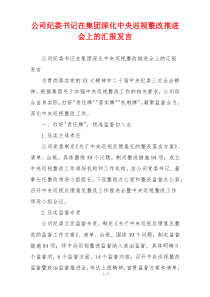 公司纪委书记在集团深化中央巡视整改推进会上的汇报发言