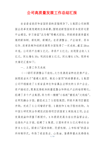 公司高质量发展工作总结汇报