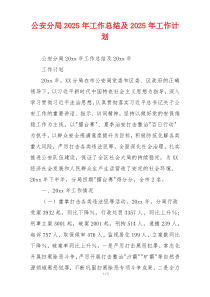 公安分局2026年工作总结及2026年工作计划