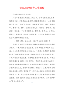 公安局2026年工作总结