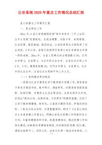 公安系统2026年重点工作情况总结汇报