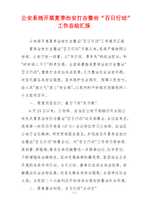 公安系统开展夏季治安打击整治“百日行动”工作总结汇报