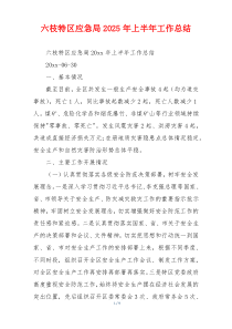 六枝特区应急局2026年上半年工作总结