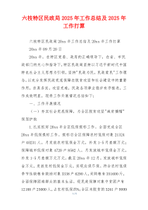 六枝特区民政局2026年工作总结及2026年工作打算