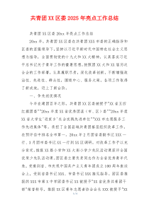 共青团XX区委2026年亮点工作总结