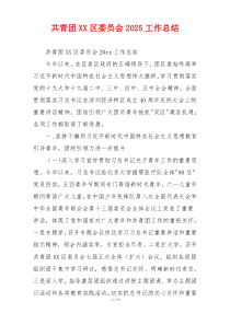 共青团XX区委员会2026工作总结