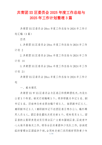 共青团XX区委员会2026年度工作总结与2026年工作计划整理3篇
