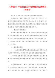 共青团XX市委员会关于巡察整改进展情况的报告