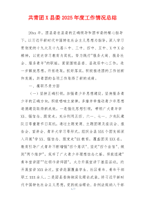 共青团X县委2026年度工作情况总结