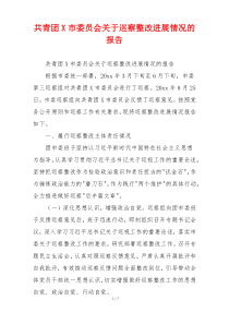 共青团X市委员会关于巡察整改进展情况的报告