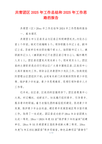 共青团区2026年工作总结和2026年工作思路的报告