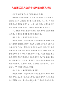 共青团区委员会关于巡察整改情况报告