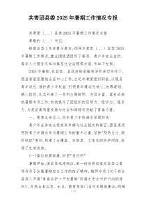 共青团县委2026年暑期工作情况专报