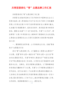 共青团委深化“青”志愿品牌工作汇报