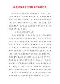 共青团改革工作进展情况总结汇报