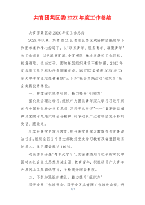 共青团某区委202X年度工作总结