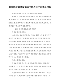 共青团省委贯彻落实卫国戍边工作情况报告