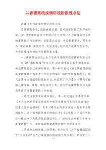 共青团系统疫情防控阶段性总结