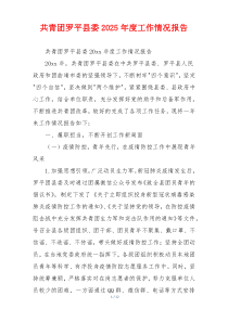 共青团罗平县委2026年度工作情况报告