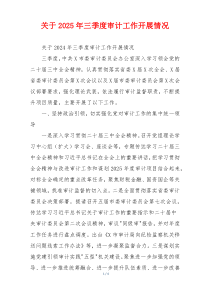 关于2026年三季度审计工作开展情况