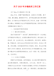 关于2026年乡镇政府工作汇报