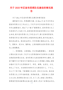 关于2026年区宣传思想队伍建设的情况报告