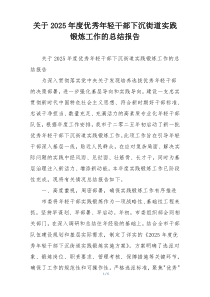 关于2026年度优秀年轻干部下沉街道实践锻炼工作的总结报告