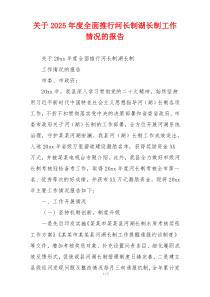 关于2026年度全面推行河长制湖长制工作情况的报告