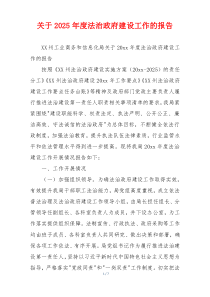 关于2026年度法治政府建设工作的报告