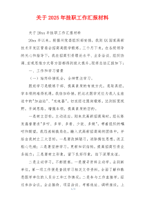 关于2026年挂职工作汇报材料