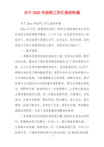 关于2026年挂职工作汇报材料稿