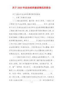 关于2026年法治政府建设情况的报告