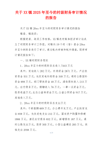 关于XX镇2026年至今的村级财务审计情况的报告